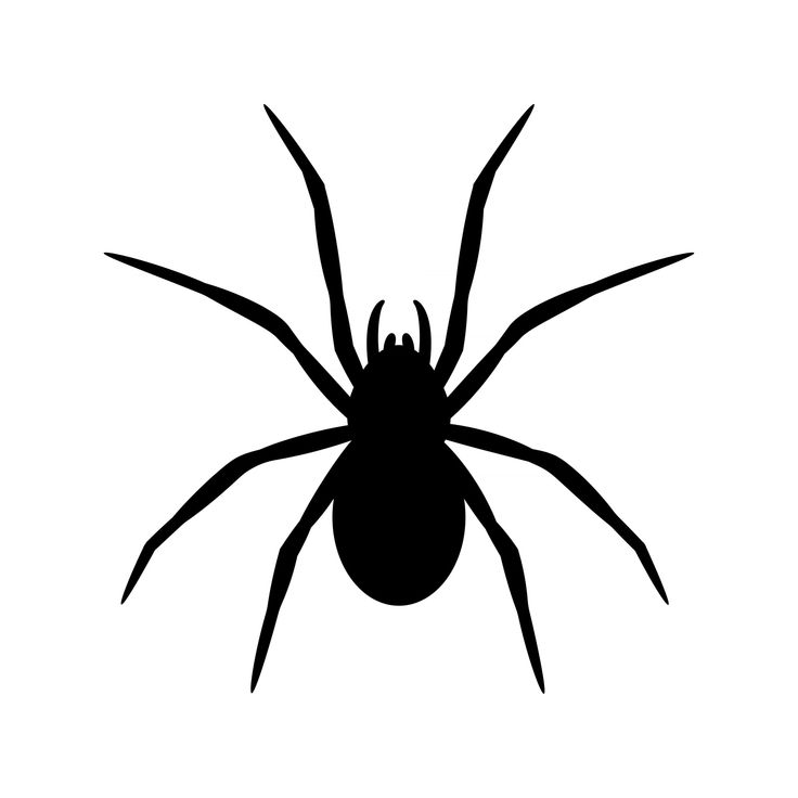 a black spider silhouette on a white background