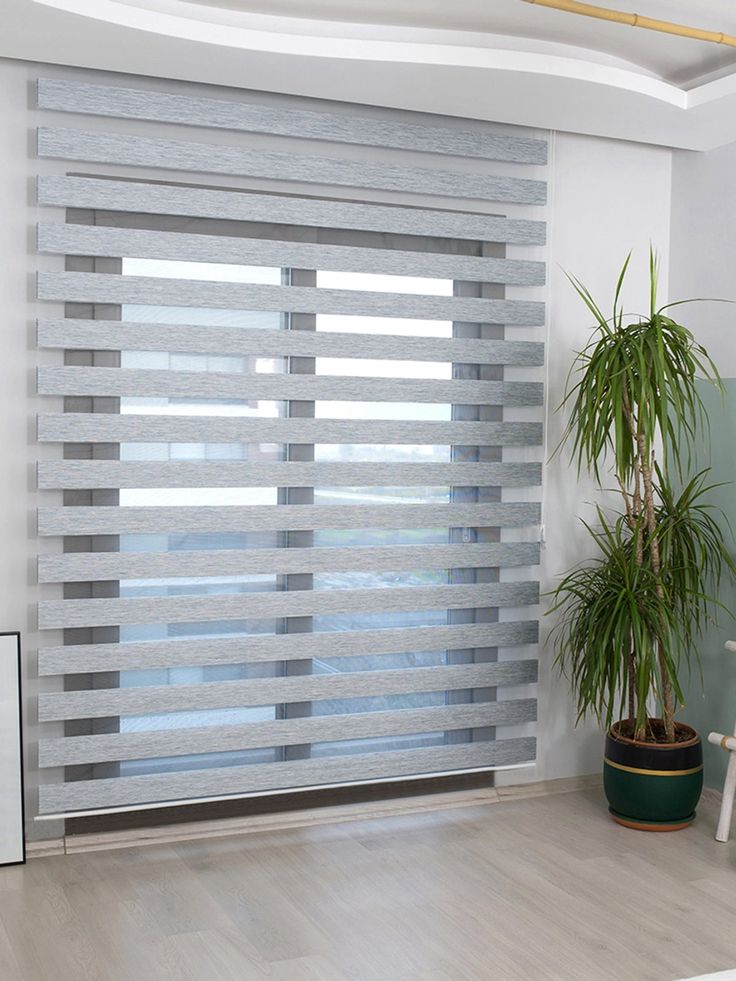 a living room with a potted plant next to a window covered in grey blinds