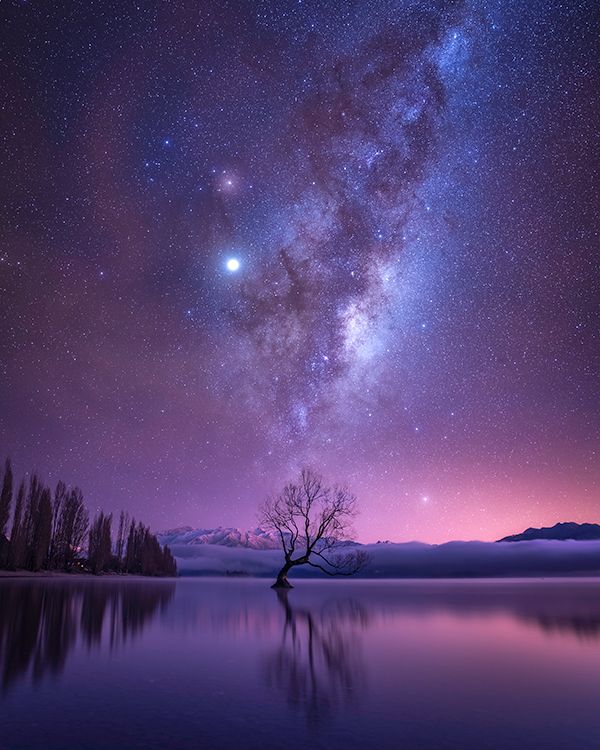 the night sky is filled with stars, and there are trees in the foreground