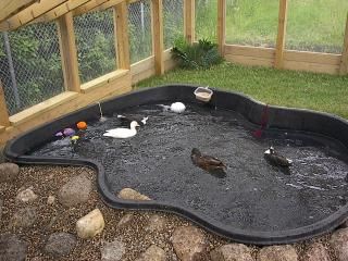 an outdoor hot tub with ducks in it