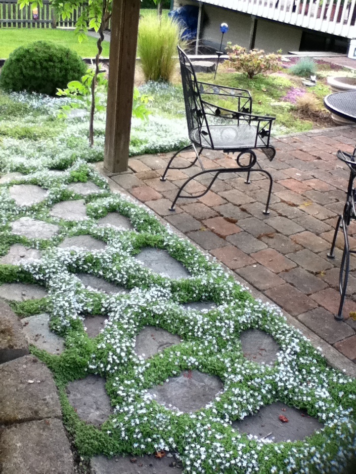 a patio with chairs and flowers on the ground