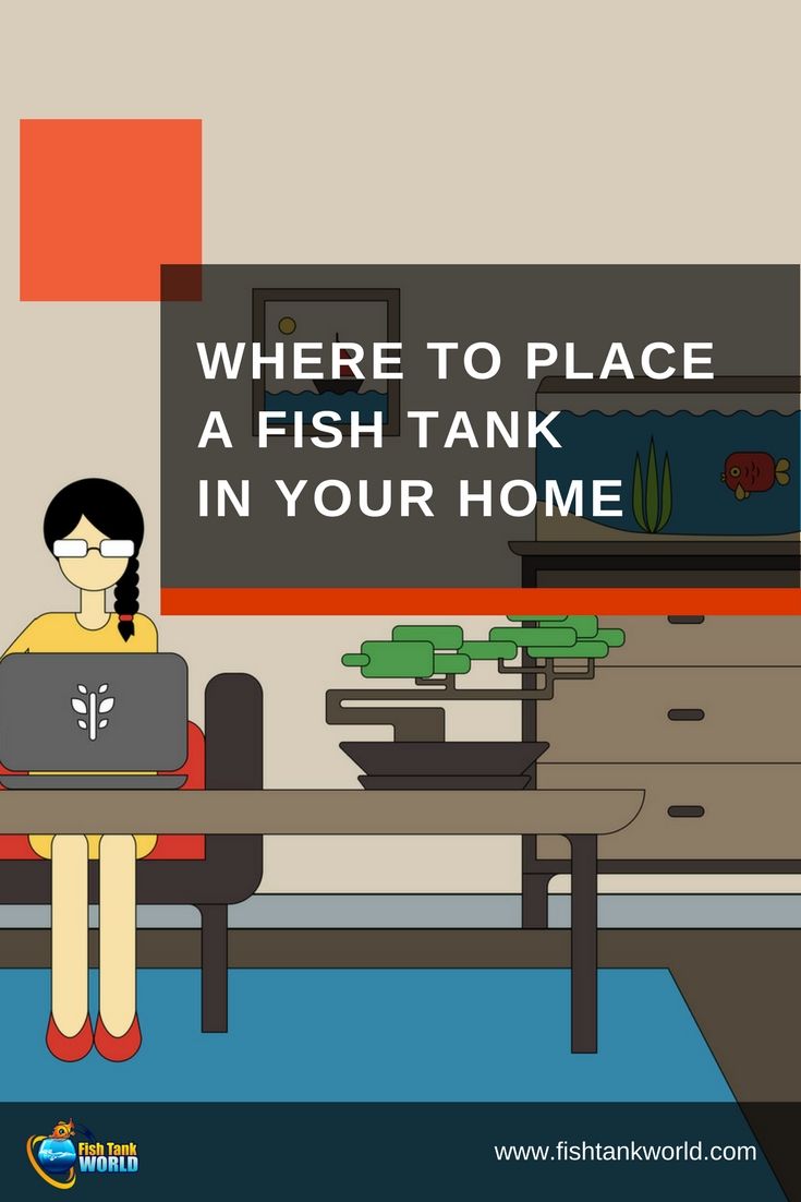 a woman sitting at a table with a laptop in front of her and the words where to place a fish tank in your home