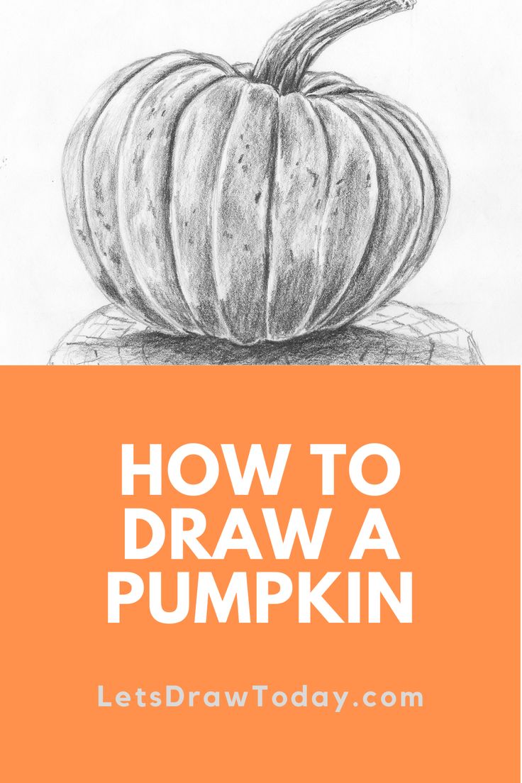 how to draw a pumpkin Pumpkin How To Draw, Drawing A Pumpkin Step By Step, Pumpkin Drawings Halloween, Drawing Pumpkins Step By Step, How To Draw A Pumpkin Step By Step Easy, Drawing Step By Step For Beginners, Pumpkin Drawing Art, How To Draw A Pumpkin, Fall Sketches Drawing