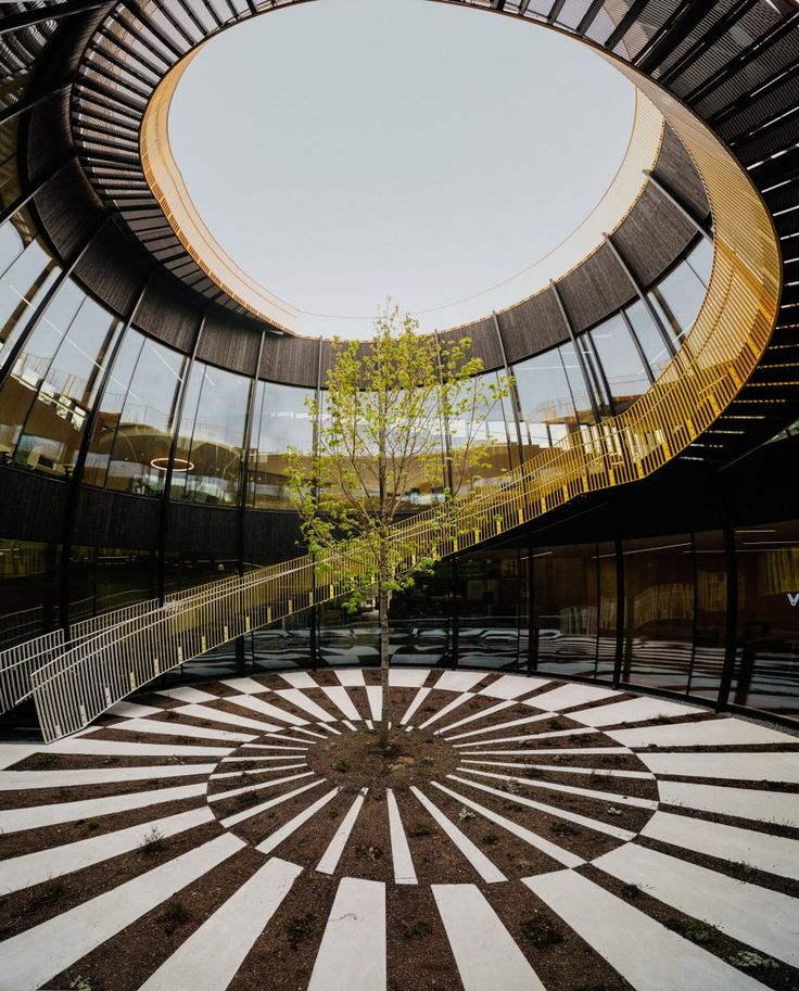 a tree in the center of a circular room with glass walls and flooring on both sides