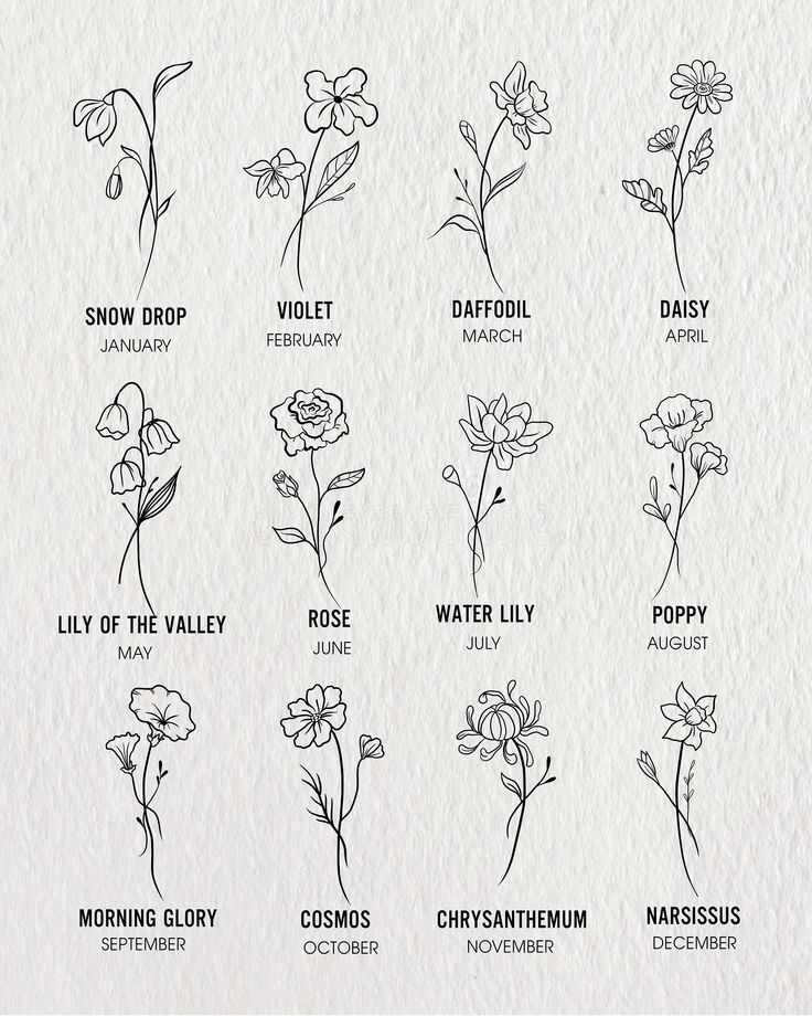 the different types of flowers are shown in black and white, with each flower's name