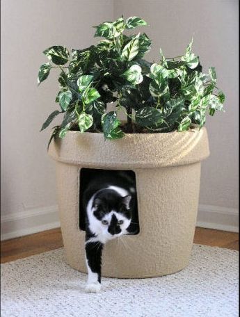 a black and white cat hiding in a planter with its head inside the hole