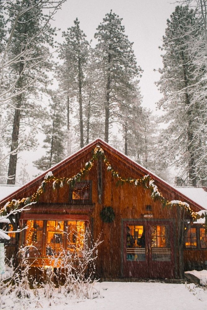 a cabin in the woods is lit up for christmas