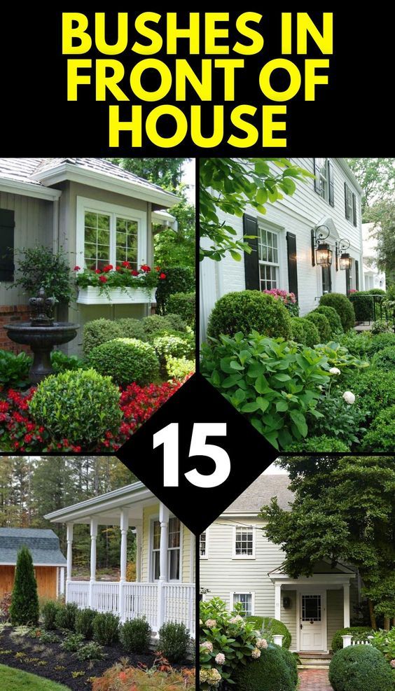 the front and back of a house with bushes in front of it, surrounded by flowers