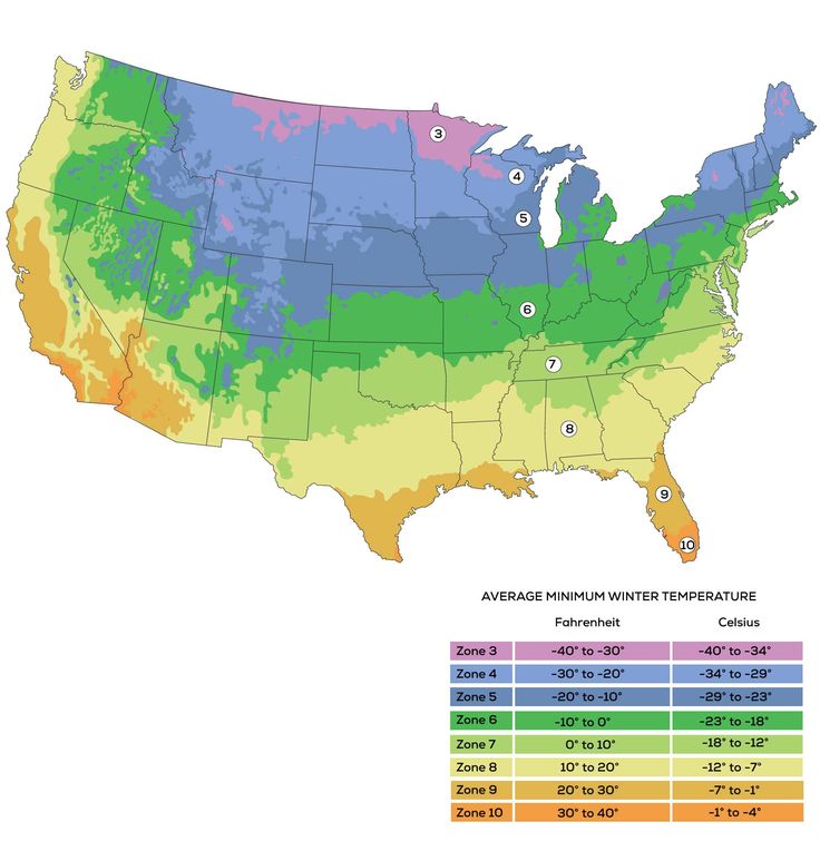 a map showing the average temperature for each state in the united states, as well as different time zones