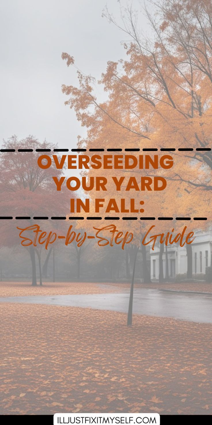 Homeowner using a spreader to overseed a yard, highlighting the steps for overseeding a lawn in the fall. Grass Maintenance Lawn Care, How To Reseed Your Lawn In Fall, Lawn Repair Step By Step, Fall Cleanup Yard, Reseeding Lawn Fall, Fall Grass Maintenance, Overseeding Lawn Fall, Diy Grass Fertilizer Green Lawn, Fall Yard Clean Up