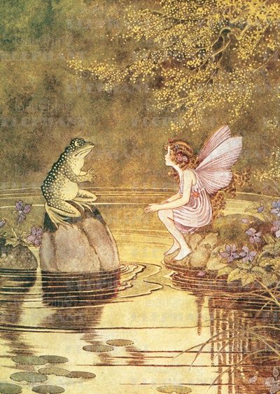 a fairy sitting on top of a rock next to a frog in the water with its wings