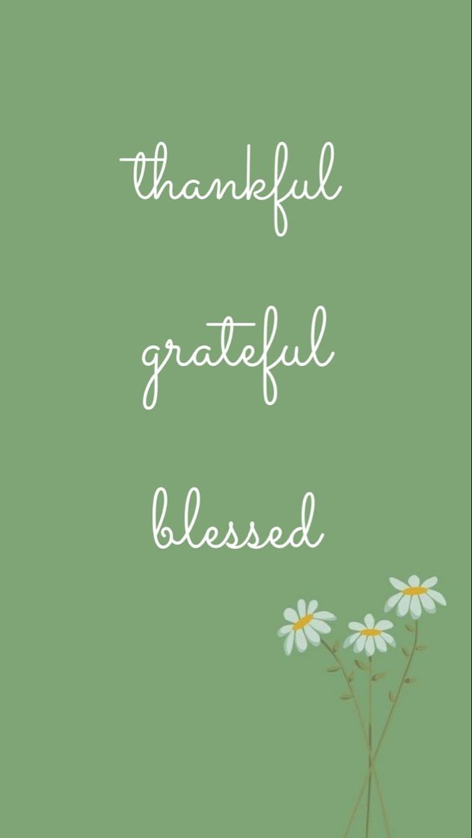 a green background with white daisies and the words,'thank grateful blessed '