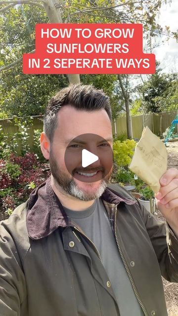 a man holding up a piece of paper with the words how to grow sunflowers in 2 separate ways