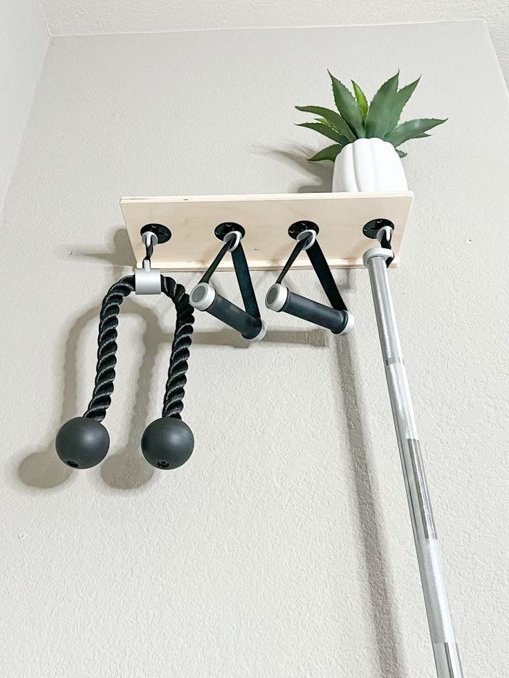 a potted plant sitting on top of a white wall next to two black handles