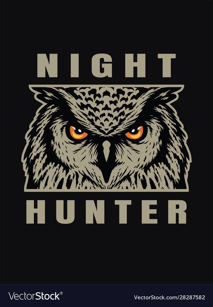 an owl's head with the words night hunter