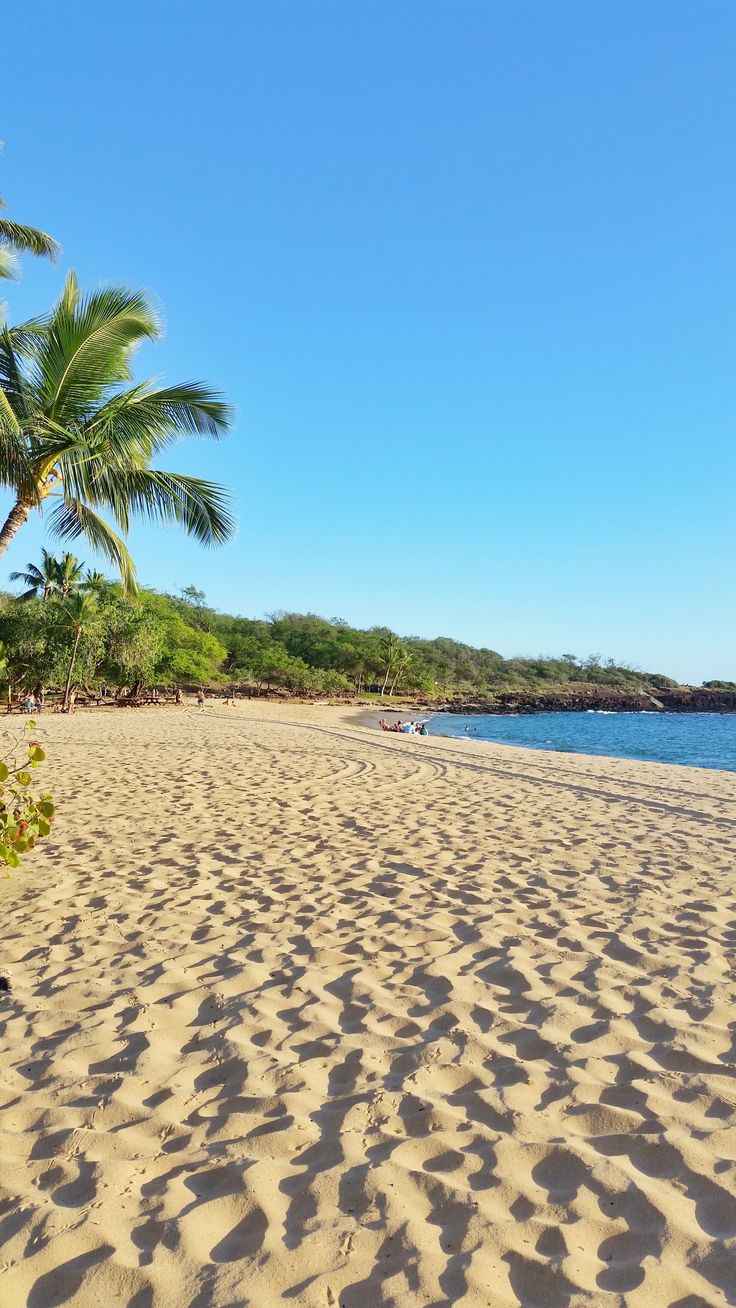 a sandy beach with palm trees and people on the water in the distance, under a blue sky