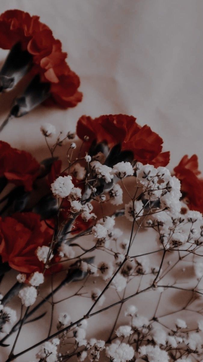 some red and white flowers on a table