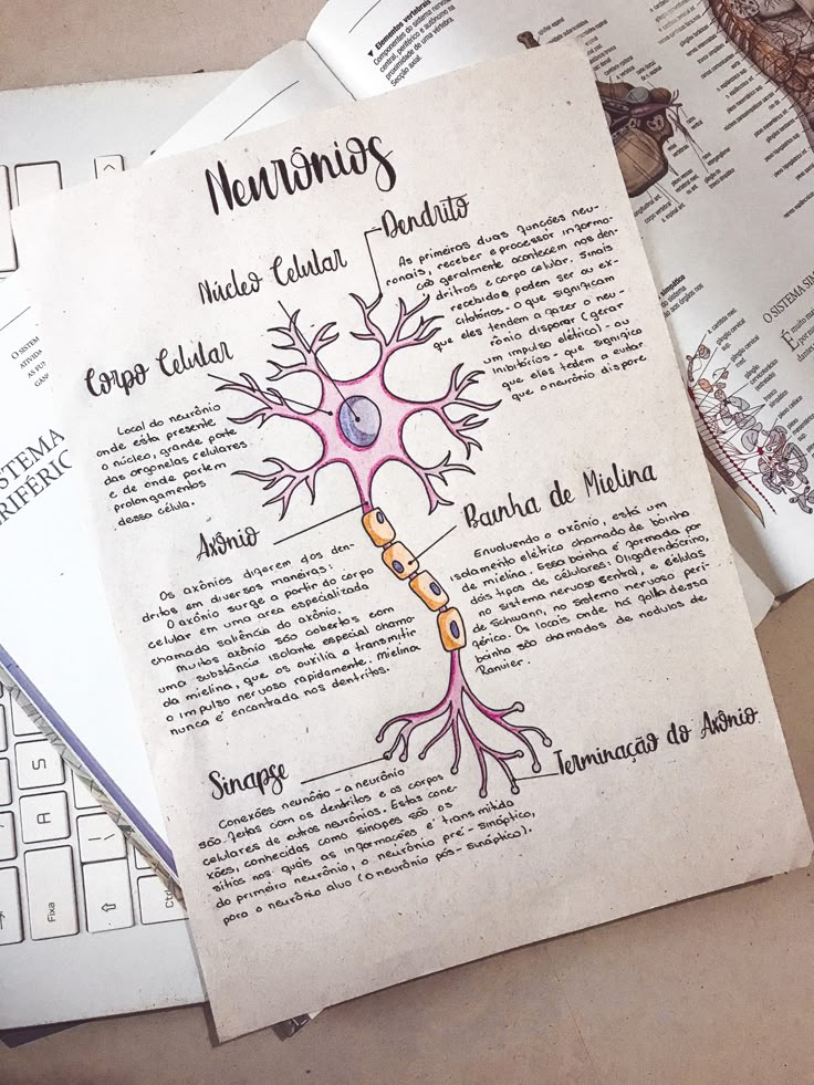 an open book with a diagram of the human nervous system