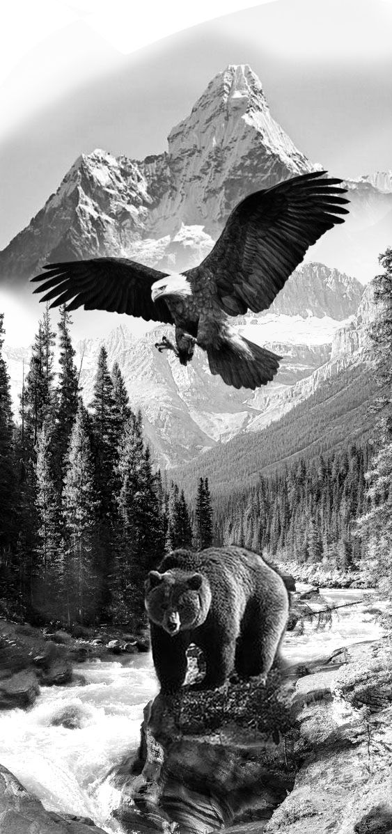 a black and white photo of an eagle flying over a bear in front of a mountain