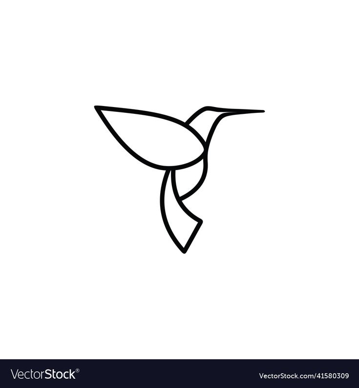 a hummingbird line drawing on white background