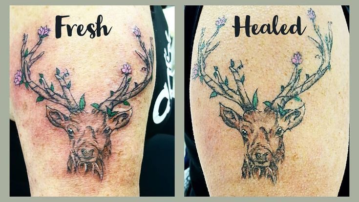 two different tattoos with deer heads and flowers on their arms, one has the word fresh and the other is head