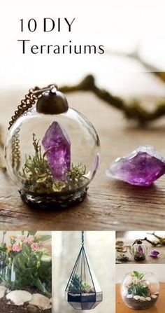 there are pictures of different items in the vases with moss and rocks on them