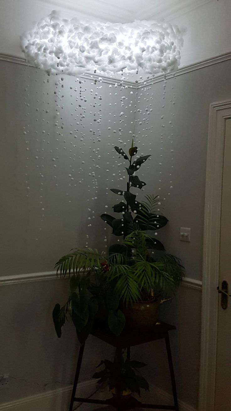 a potted plant with water droplets hanging from it's ceiling in a room