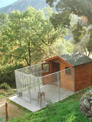 a dog house in the middle of some trees