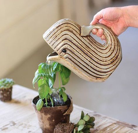 a person is holding a potted plant in front of a houseplant on a table