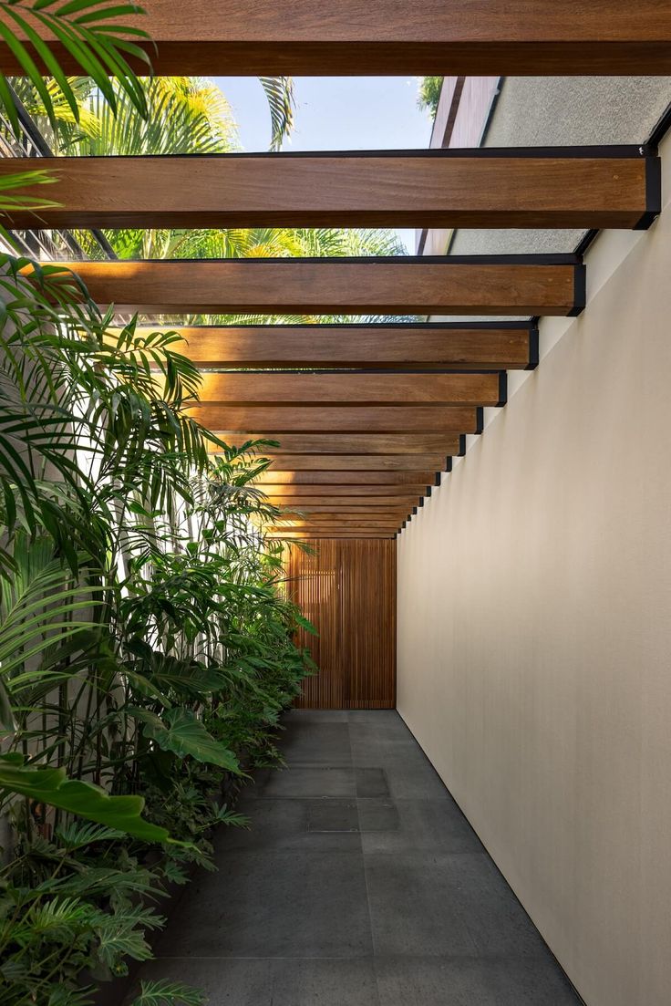 an outdoor walkway with plants and trees on both sides, leading up to the roof