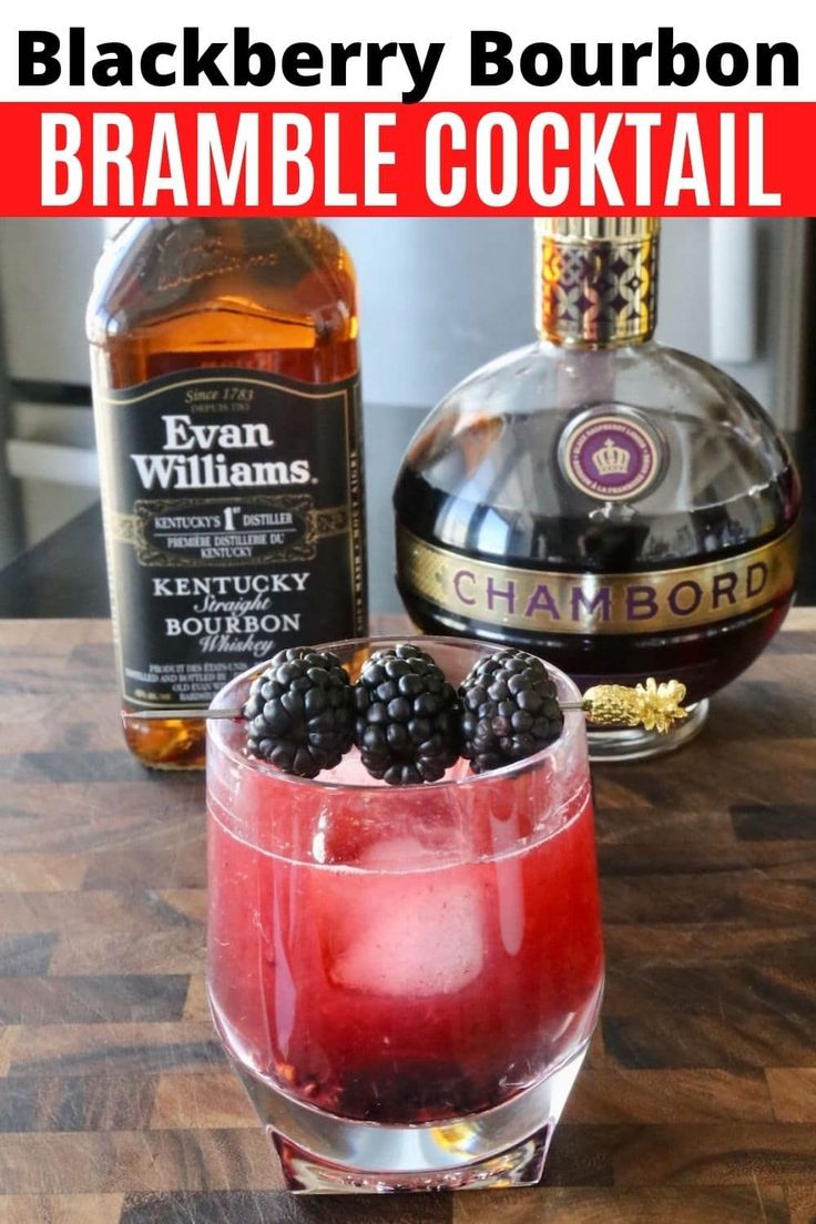 blackberry bourbon bramble cocktail in a glass with blackberries on the rim