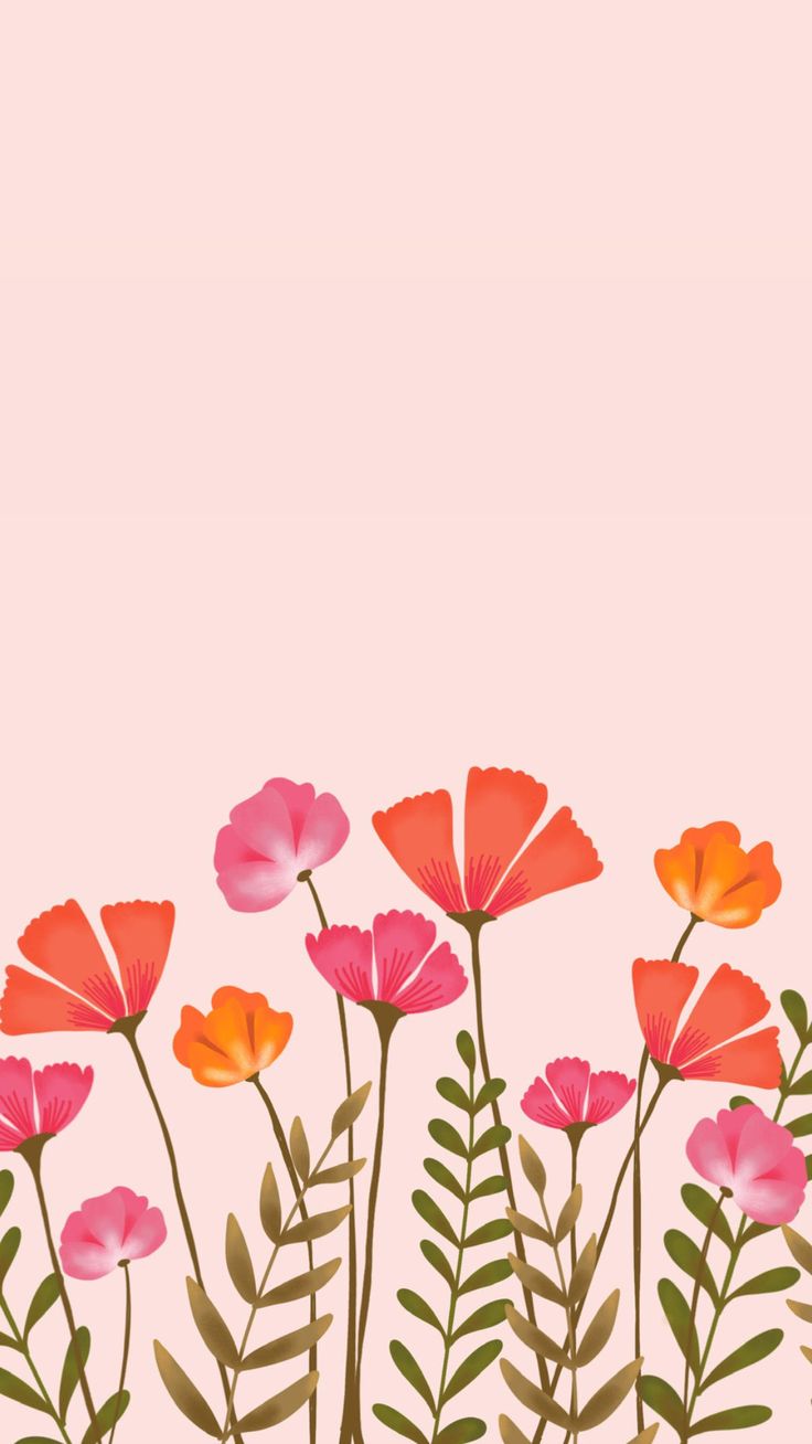 pink and orange flowers on a pink background