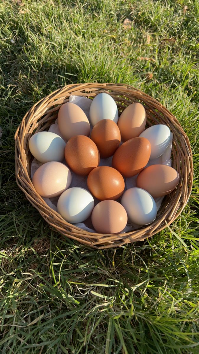 a basket filled with brown and white eggs on top of green grass in the sun