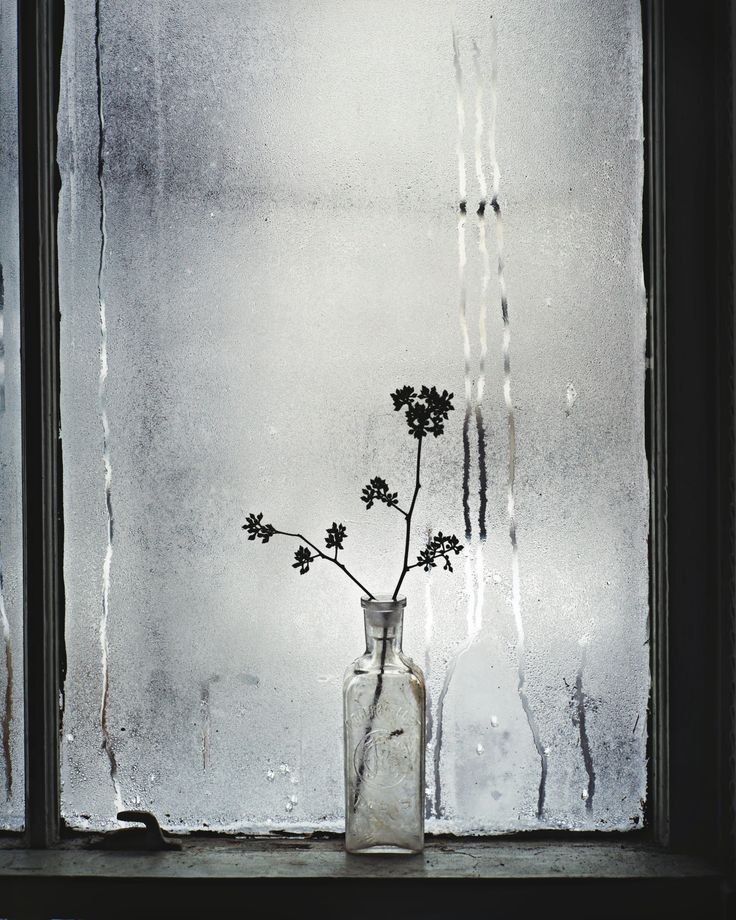 a vase with flowers in it sitting on a window sill next to a wall