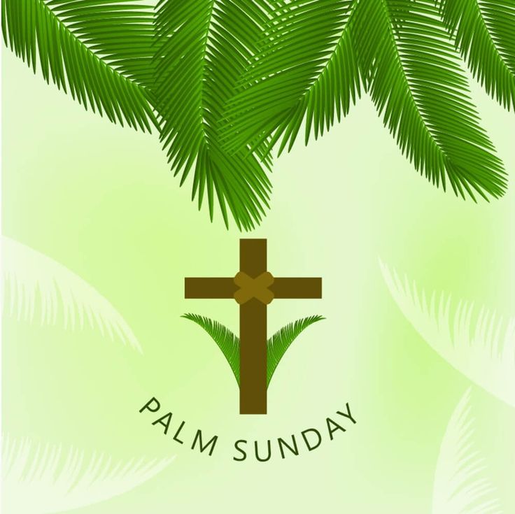 a palm tree with a cross on it and the words palm sunday written in brown