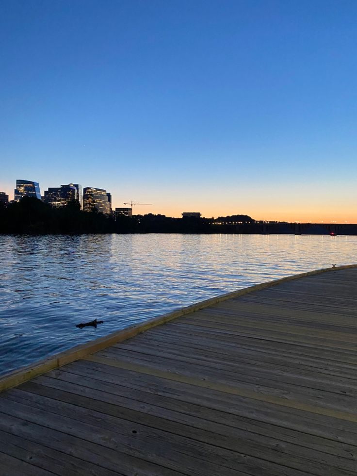 a bird sitting on the end of a wooden pier next to a body of water