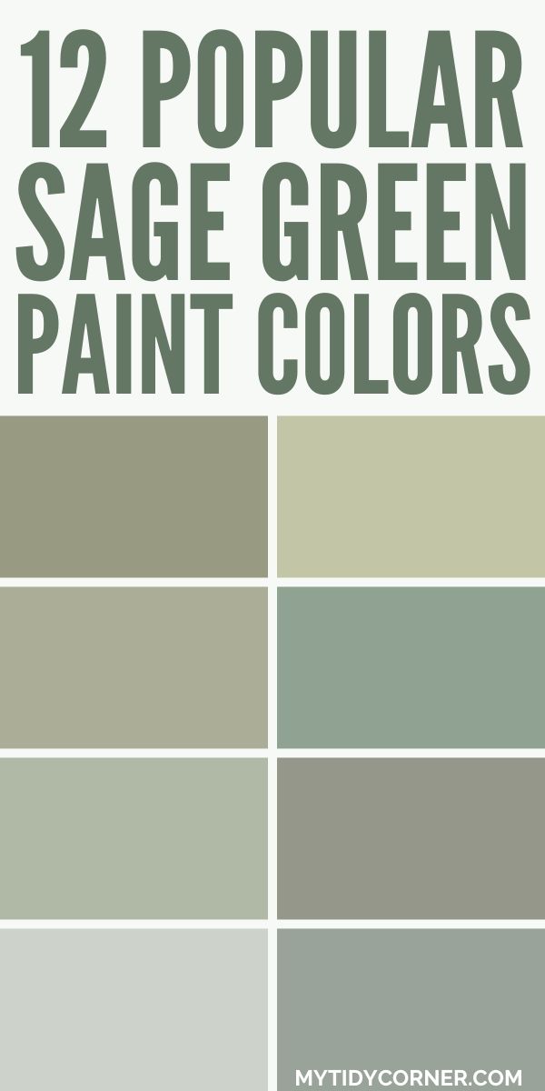 Collage of the top sage green paint colors from popular brands. Green Behr Paint Colors, Behr Sage Green Paint, Best Sage Green Paint Colors, Best Sage Green Paint, Sage Green Shades, Sherwin Williams Paint Colors Green, Sage Green Paint Colors, Sage Paint Color, Sage Paint