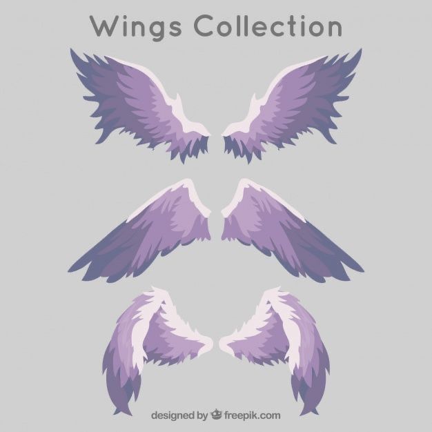 three purple and white wings with the words wings collection written below them on a gray background