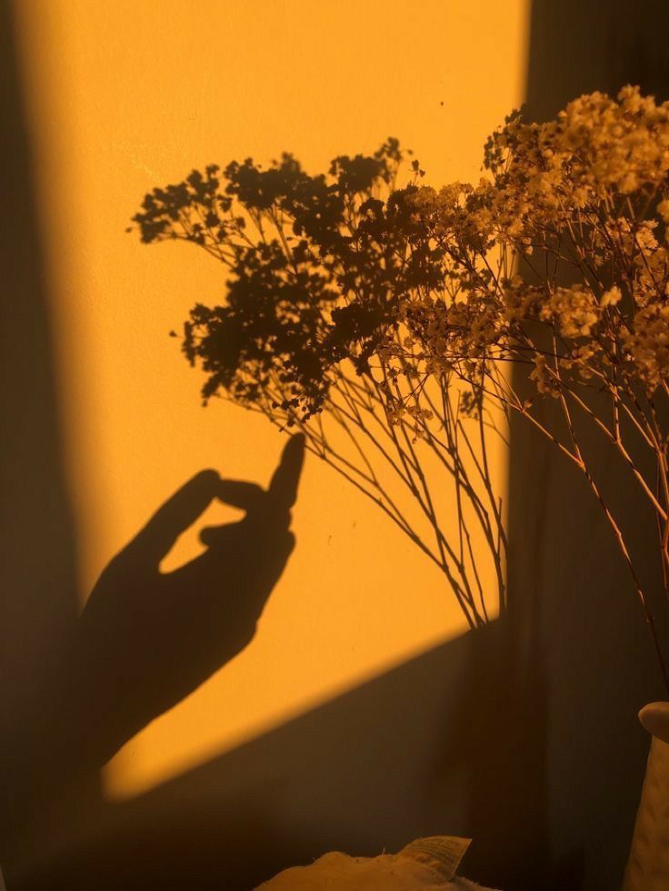 the shadow of a person's hand next to a vase with flowers in it