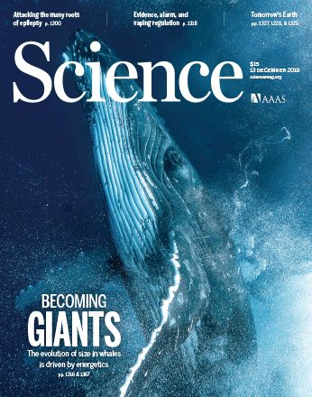 the cover of science magazine showing a humpback whale swimming in the blue water