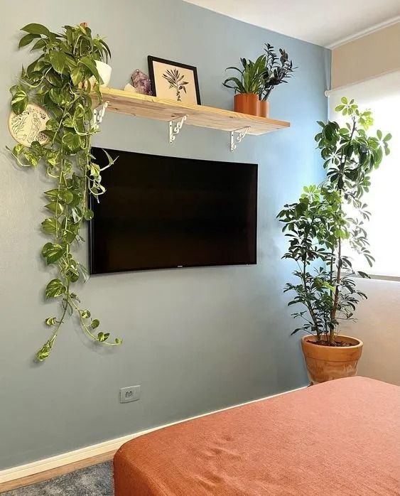 a flat screen tv mounted to the side of a wall next to potted plants