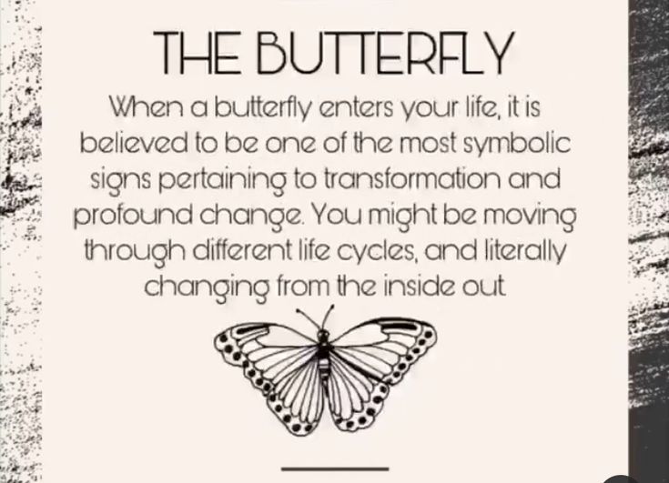 a poster with a butterfly on it that says, the butterfly when a butterfly enters your life, it is believing to be one of the most symbolic signs