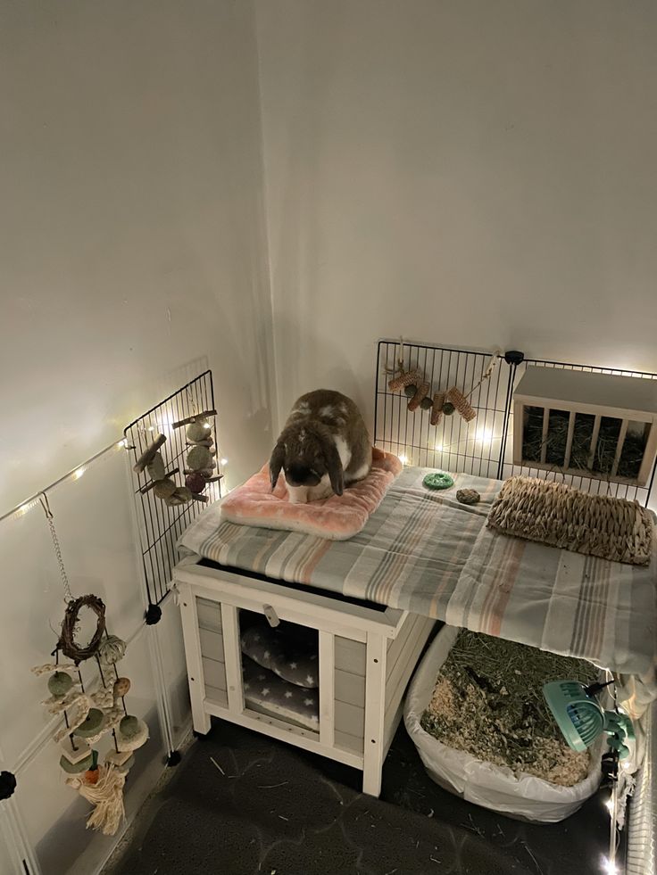 a cat laying on top of a bed in a room with cages and lights