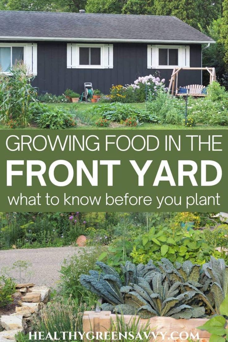 the front yard is full of vegetables and plants with text overlay reading growing food in the front yard what to know before you plant