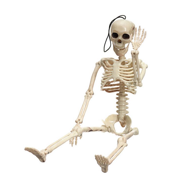 a human skeleton is shown in the air with its legs spread out and hands extended