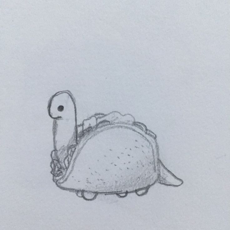 a pencil drawing of a tortoise shell with a bird on it's back