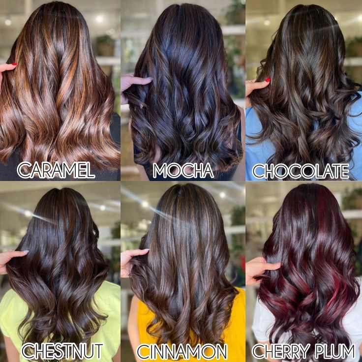 Hair Colour For Dark Black Hair, Hair Colour For Indian Skin Curly Hair, Hair Colour For Indian Skin Long Hair, Trendy Hair Colors For Brunettes Dark, Hair Global Highlights, Highlights Colour Shades, New Highlights Hair Colour 2023, Coloured Hair On Indian Skin, Brown Hair Types Colour