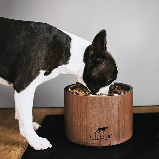 a black and white dog eating out of a wooden bowl