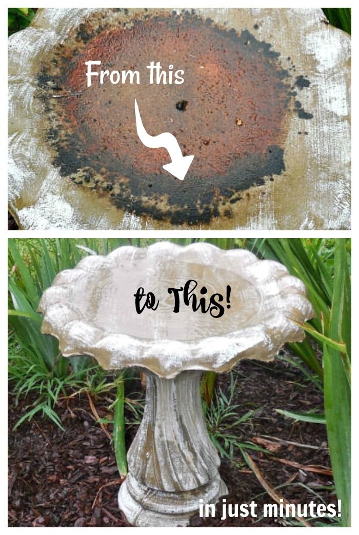 an old bird bath sitting in the grass next to a tree stump with words from this to this