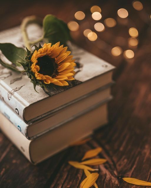 a book with a sunflower on top of it sitting on a wooden table next to string lights